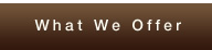 What We Offer